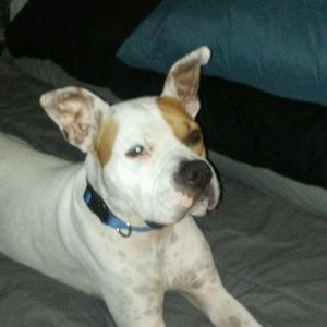 Meet your Posher, Teresa